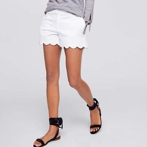 Loft White Scalloped Shorts